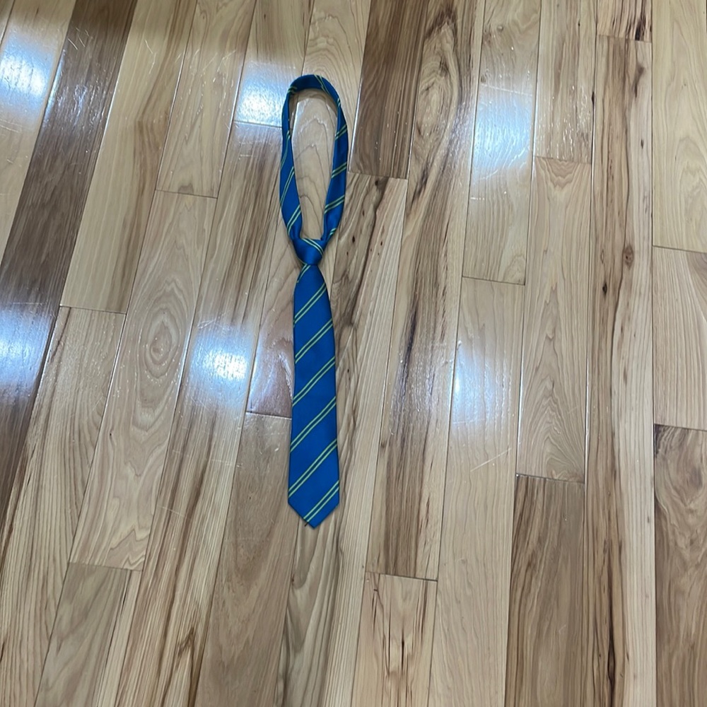 Boys Blue and Gold Striped Tie